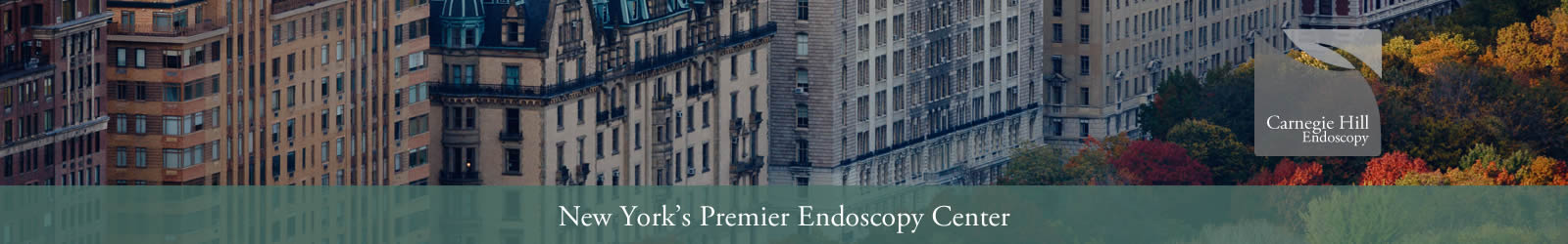 New York's Premier Endoscopy Center